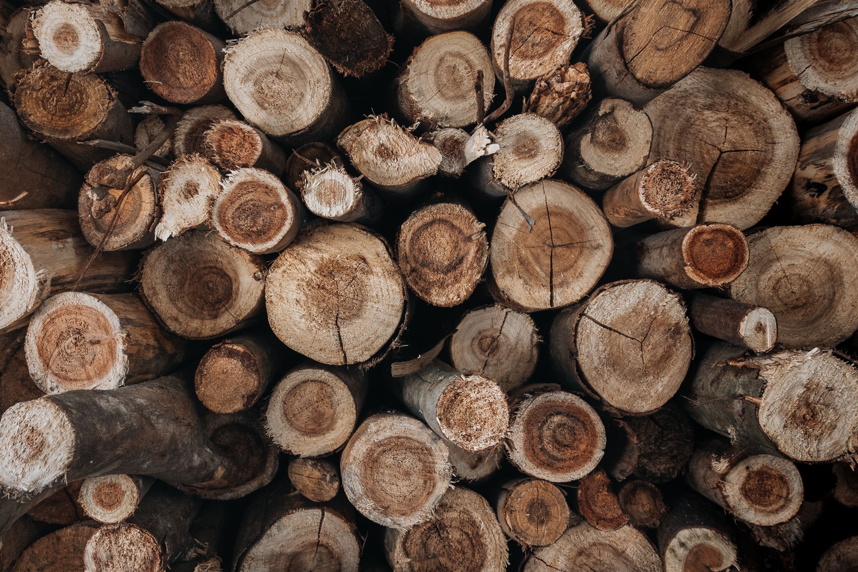 Apa Itu Sandalwood dalam Parfum? Kenali Karakter dan Aromanya